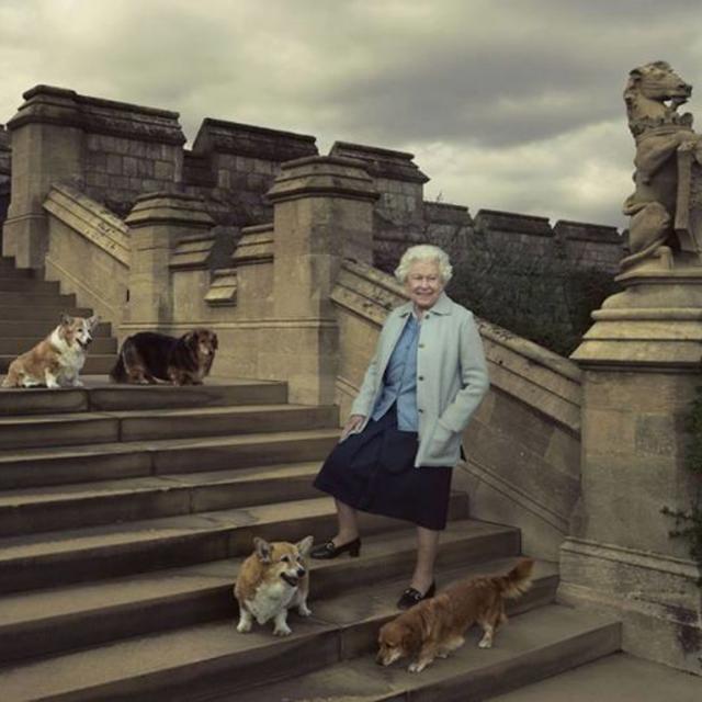 Corgis queen Elisabeth